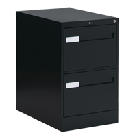 Vertical Filing Cabinet with Recessed Drawer Handles, 2 Drawers, 18.15" W x 26.56" D x 29" H, Black OTE611 | Kelford
