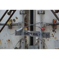 Scell&eacute;s de haute s&eacute;curit&eacute;, 12", M&eacute;tal, Scell&eacute; &agrave; c&acirc;ble Kelford