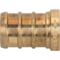 Lead-Free Pipe Plug, Pipe, 1/2" Dia., Brass Kelford