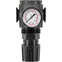 R&eacute;gulateur avec manom&egrave;tre Modulair 300, 1/4" NPT, PSI max. de 300 psi, Canalisation/Modulaire Kelford