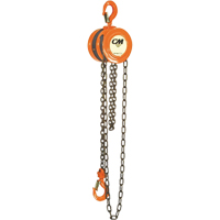 Chain Hoist, 10' Lift, 1000 lbs. (0.5 tons) Capacity, Steel Chain QG621 | Kelford