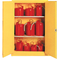 Insulated Flammable Liquid Safety Cabinets, 30 gal., 2 Door, 44" W x 45" H x 19" D SA087 | Kelford