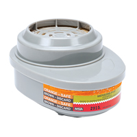 Advantage&reg; Respirator Cartridges, Gas/Vapour Cartridge, Mercury Vapour/Chlorine Gas/P100 Filter Kelford