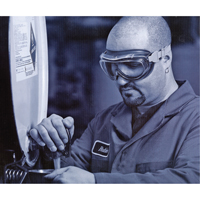 Uvex&reg; Flex Seal Safety Goggles, 3.0 Lens, Anti-Fog, Indirect Vent Kelford