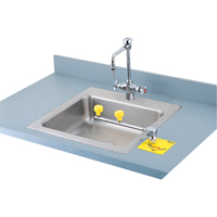 Swing-Away Eyewash Station, Counter-Mount Installation Kelford