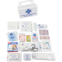 First Aid Kit, Class 1 Medical Device, Plastic B Kelford