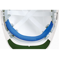 Replacement Brow Pad for ERB Hardhat SAX887 | Kelford