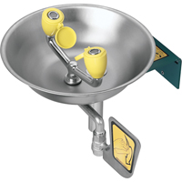 Eyewash Station, Wall-Mount Installation, Stainless Steel Bowl Kelford