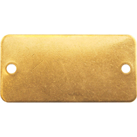 Blank Tags, Brass, 2" W x 1" H Kelford