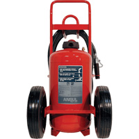 Red Line<sup>®</sup> Wheeled Fire Extinguishers, BC, 150 lbs. Capacity SDN839 | Kelford