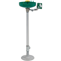 Axion&reg; Eye/Face Wash Station, Pedestal Installation, Plastic Bowl Kelford