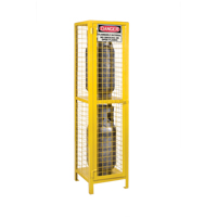 Gas Cylinder Cabinets, 2 Cylinder Capacity, 17" W x 17" D x 69" H, Yellow SEB838 | Kelford