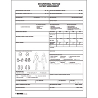 Patient Assessment Chart SEE693 | Kelford