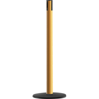 Advance TensaBarrier&reg; - Receiver Post, 36" High, Yellow Kelford