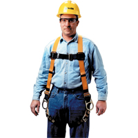 Harnais non extensible Miller Titan II, Certifi&eacute;e CSA, Classe AP, Moyen, Cap. 400 lb Kelford