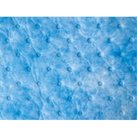 Oil Only Sorbent Sweep Kelford