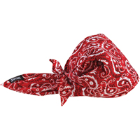 Chill-Its&reg; 6710CT Cooling Triangle Hats, Red Kelford