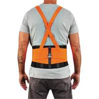 ProFlex 100HV Economy Spandex Hi-Vis Back Support Brace, Elastic, X-Small Kelford