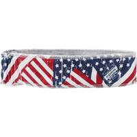 Chill-Its 6605 Cooling Headbands, Multi-Colour Kelford