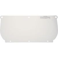 Visi&egrave;re, Polycarbonate, Teinte Transparent Kelford