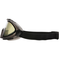Capstone Dual Lens Safety Goggles, Clear Lens, Anti-Fog/Anti-Scratch, Indirect Vent Kelford