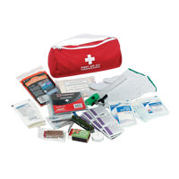 Trousse de premiers soins pour auto Dynamic, Dispositif m&eacute;dical Classe 1, Sac en nylon Kelford