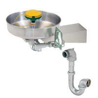 Axion<sup>®</sup> Eye/Face Wash Station, Wall-Mount Installation, Stainless Steel Bowl SGC270 | Kelford