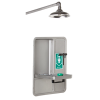 Eye/Face Wash and Shower, Ceiling-Mount Kelford