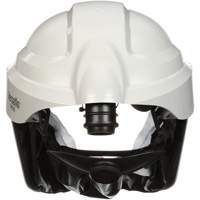 &eacute;cran facial complet pour respirateur Versaflo, Standard, Casque rigide Kelford
