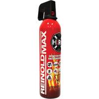 Fire Extinguisher, ABC/K, 2 lbs. Capacity SGC461 | Kelford