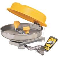 Poste de douche oculaire, Installation Montage mural, Bol Acier inoxydable Kelford