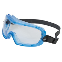 Uvex&reg; Entity Safety Goggles, Clear Lens, Anti-Fog, Indirect Vent Kelford