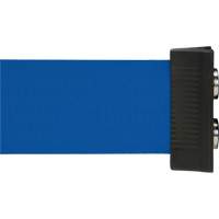 Wall Mount Barrier with Magnetic Tape, Steel, Screw Mount, 7', Blue Tape Kelford