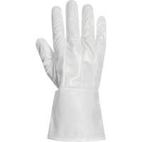 Ground Hog Electro-Static Spray Painting Gloves, Size Large, 11.5" L, Polyurethane Kelford