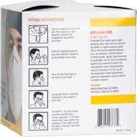 Disposable Nuisance Dust Mask Kelford