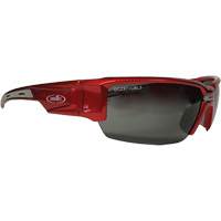 Lunettes de s&eacute;curit&eacute; Hartley, Lentille Gris, Polaris&eacute;, R&eacute;pond ou surpasse la norme CSA Z94.3 Kelford