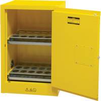 Armoire de rangement pour a&eacute;rosols inflammables, 12 gal., 1 Porte(s), 23" La x 35" h x 18" p Kelford