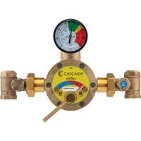Mixing Valve for Exposed Assembly of Drench or Combination Emergency Shower, 56 GPM SGX711 | Kelford