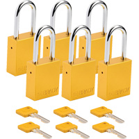 Cadenas de s&eacute;curit&eacute;, Cadenas de s&eacute;curit&eacute;, Cl&eacute;s diff&eacute;rentes, Aluminium, Largeur de 1-1/2" Kelford