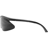 Banraj Safety Glasses, Smoke Lens, Anti-Scratch Coating, ANSI Z87+/CSA Z94.3/MCEPS GL-PD 10-12 SHJ963 | Kelford