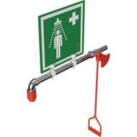 Drench Shower, Water Ring Main Mount Kelford