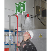 Combination Shower with Closed ABS Bowl & Top Inlet, Pedestal Kelford