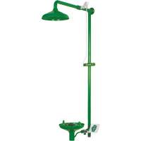 Laboratory Combination Shower with Open ABS Bowl, Wall-Mount Kelford