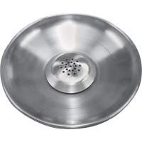 Stainless Steel Safety Shower Rose Kelford