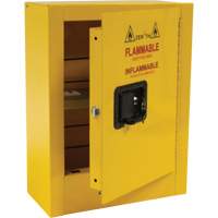 Armoire de s&eacute;curit&eacute; miniature pour produits inflammables, 2 gal., 1 Porte(s), 17" La x 22" h x 8" p Kelford