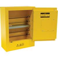 Armoire de s&eacute;curit&eacute; miniature pour produits inflammables, 2 gal., 1 Porte(s), 17" La x 22" h x 8" p Kelford
