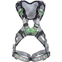 Harnais de s&eacute;curit&eacute; complet V-Fit, Certifi&eacute;e CSA, Classe AEP, Standard, Cap. 400 lb Kelford