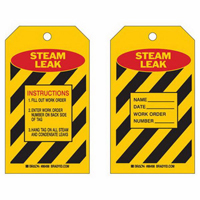 "Steam Leak" Inspection Tags, Polyester, 4" W x 7" H, English SX419 | Kelford