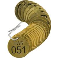 Numbered "HWS" Valve Tags, # 051-075, Brass, 1.5" dia Kelford