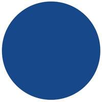 Round Write-On Labels, Circle, 1.5" L x 1.5" W, Blue Kelford